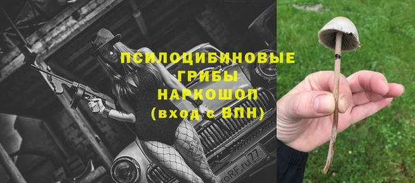 mdpv Заволжск